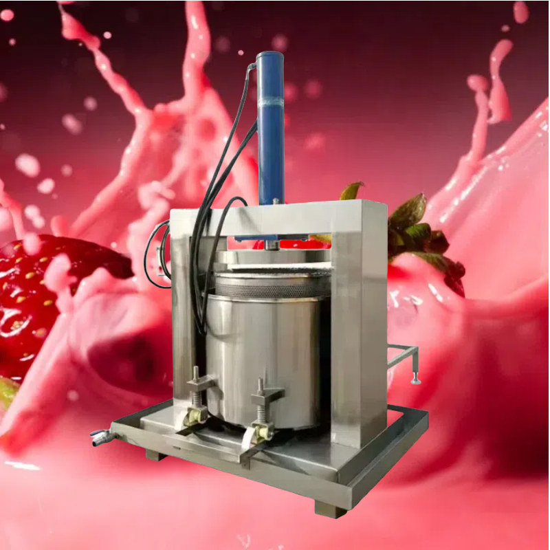 Industrial Vertical 380V Hydra – обзор и цена Cold Press Juicer