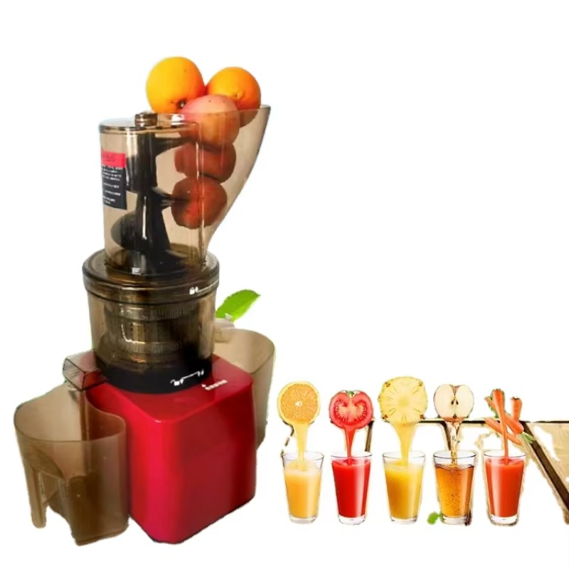 Stainless Steel Fruit Vegetabl – обзор и цена Cold Press Juicer