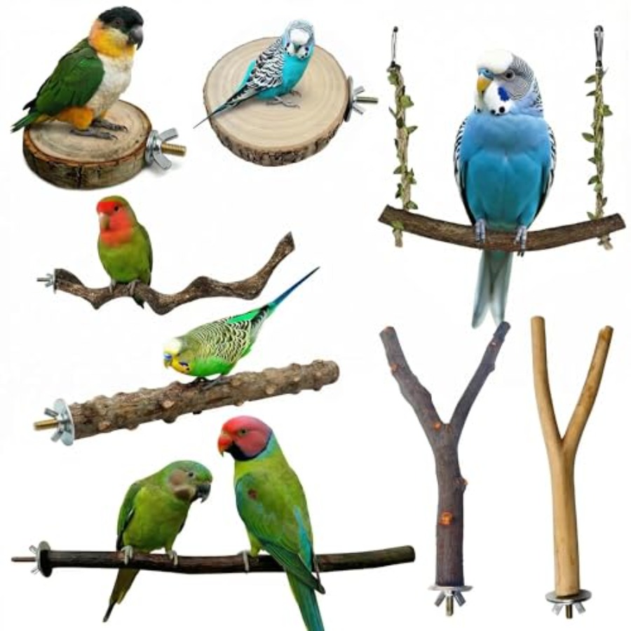 8PCS natural wood bird perches – обзор и цена Health & Wellness Animal Hospital
