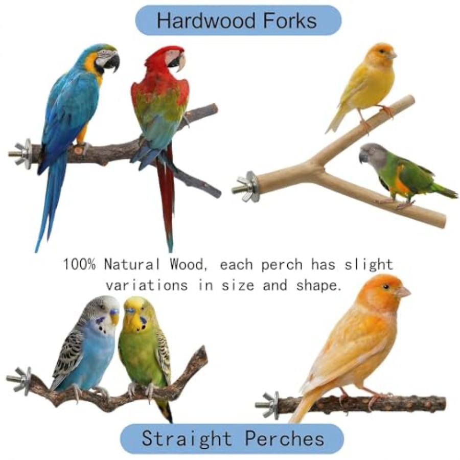 8PCS natural wood bird perches – обзор и цена Health & Wellness Animal Hospital